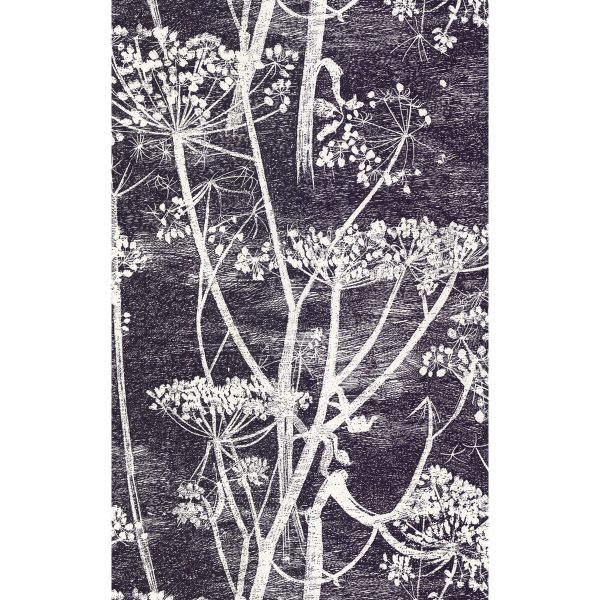 WB-106 COW PARSLEY